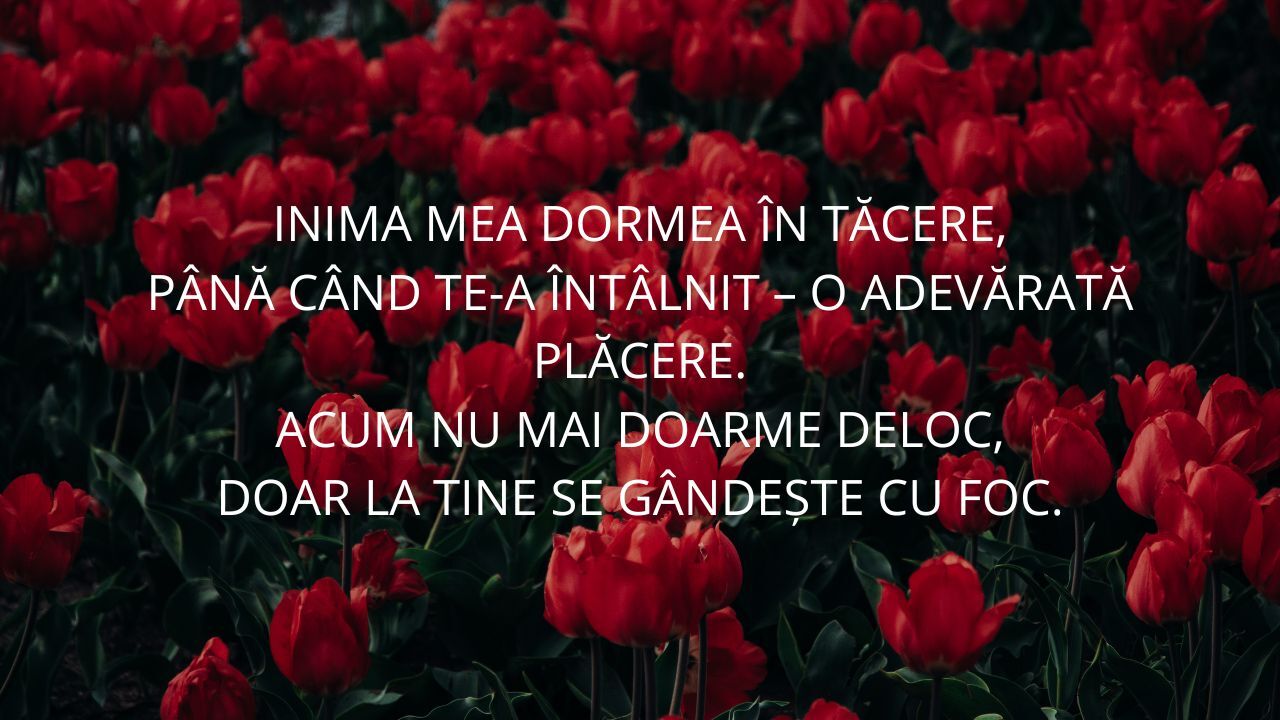 Poezii de Valentine’s Day pentru ea și pentru el